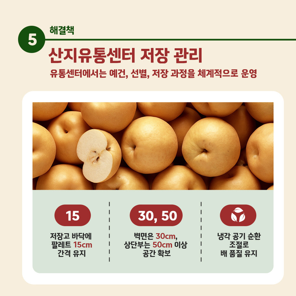 농촌진흥청 신고 배 수확 후 관리 카드뉴스에 실린 배 사진