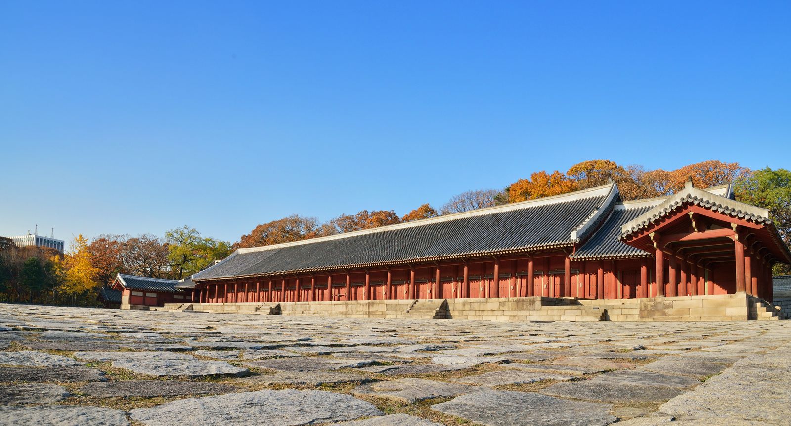 가을 나무를 배경으로 길게 이어진 종묘 정전