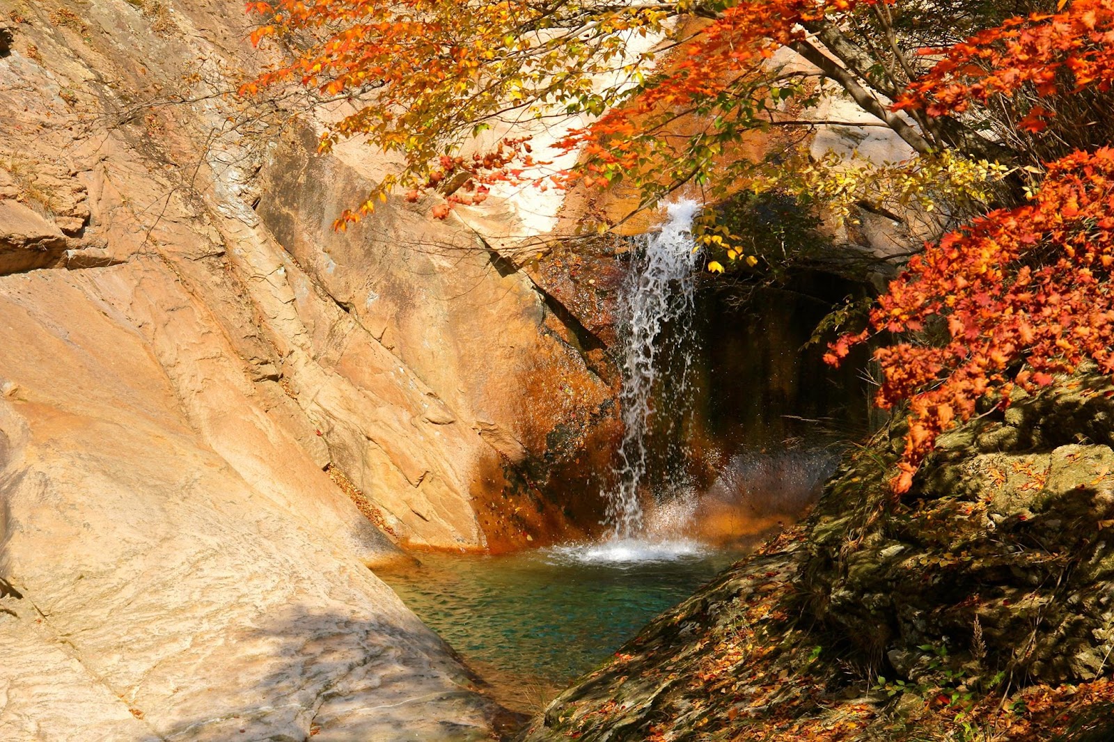 설악산 계곡의 바위와 붉은 단풍